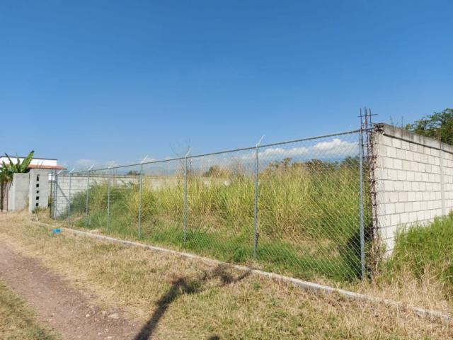 Área para Venta en Yautepec - 4