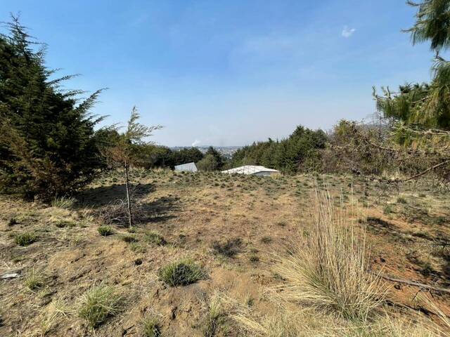 para en - 4