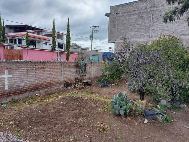 #CONDOR55 - Área para Venta en Texcoco - MC - 1