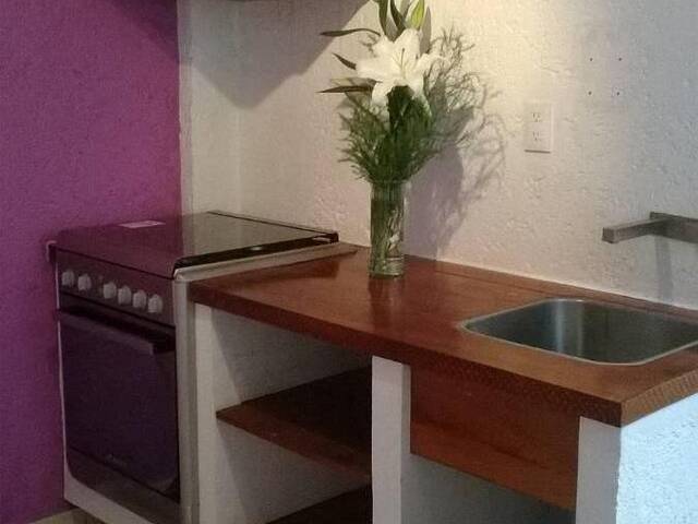 Departamento para Renta en Cuauhtémoc - 4