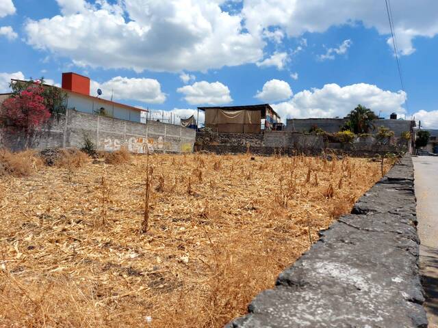 Área para Venta en Emiliano Zapata - 4