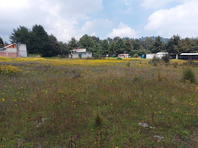 Área para Venta en Tlalpan - 5