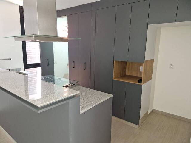Departamento para Renta en Miguel Hidalgo - 4