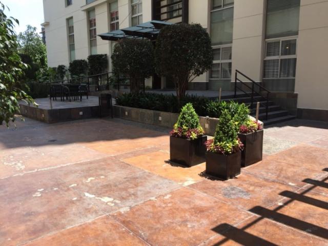 #MESCOBEDO - Departamento para Renta en Miguel Hidalgo - DF